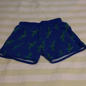 Last chance! 🦖🦖size 10 girls Hanna Andersson dinosaur shorts